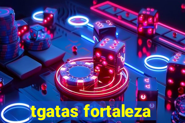 tgatas fortaleza